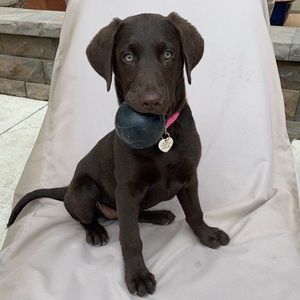 Meet your Posher, Aubrey